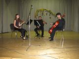 Vynikajúce trio Kaiser pri Haydnovej hudbe.