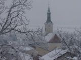 Dražovce od vinohradov.