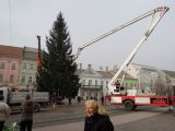 Osádzanie vianočného stromčeka v centre Košíc.